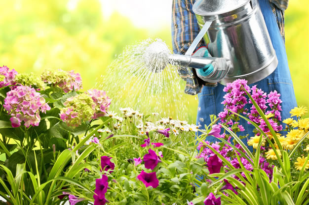 Jardiniers français who's who meilleur expert reconnu spécialiste savoir-faire personnalité française spécialité française