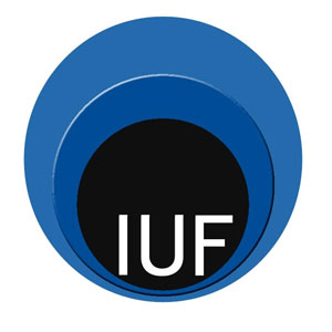 Logo INSTITUT UNIVERSITAIRE DE FRANCE (IUF)