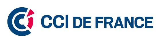 Logo CCI FRANCE